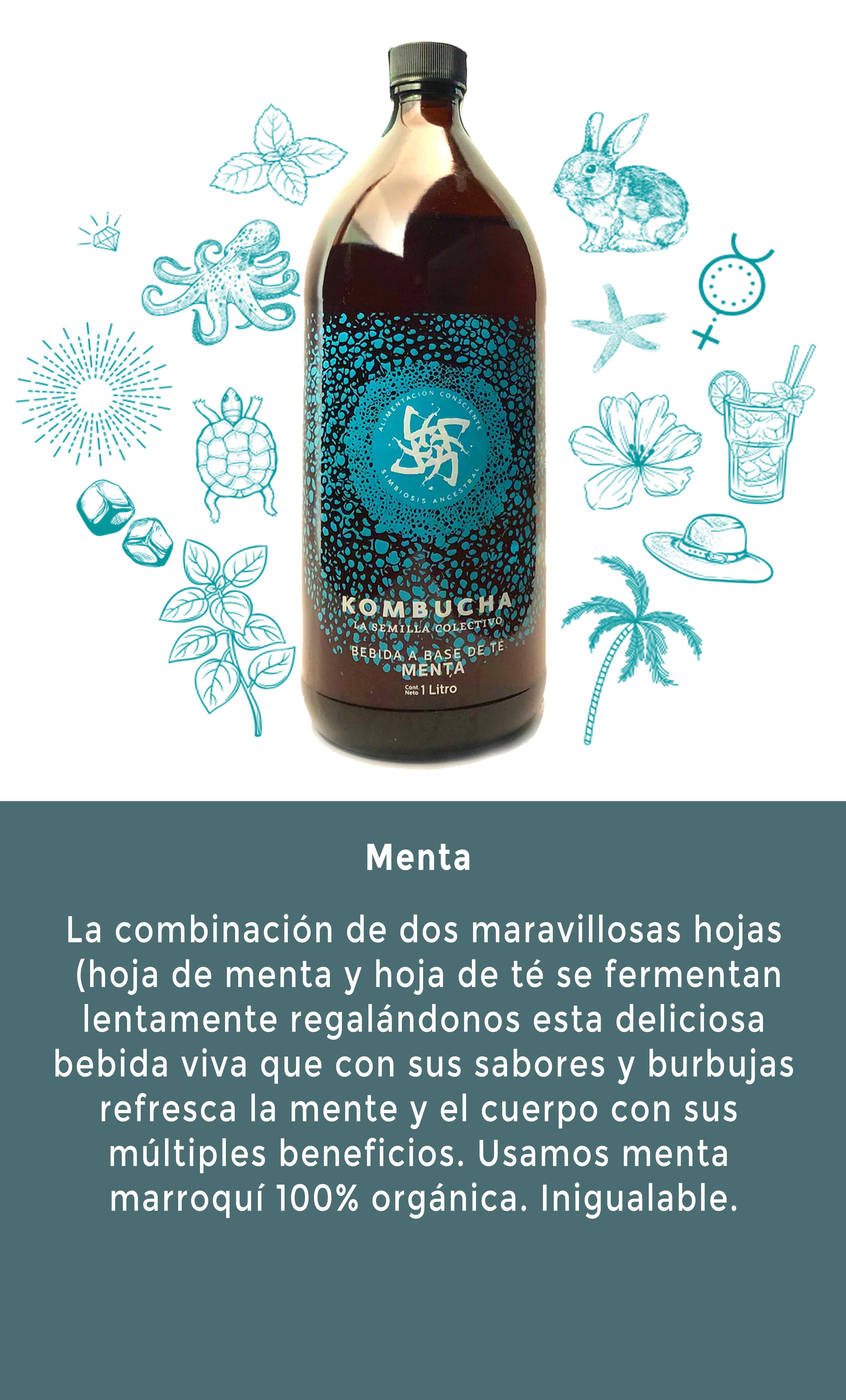 Kombucha sabor menta