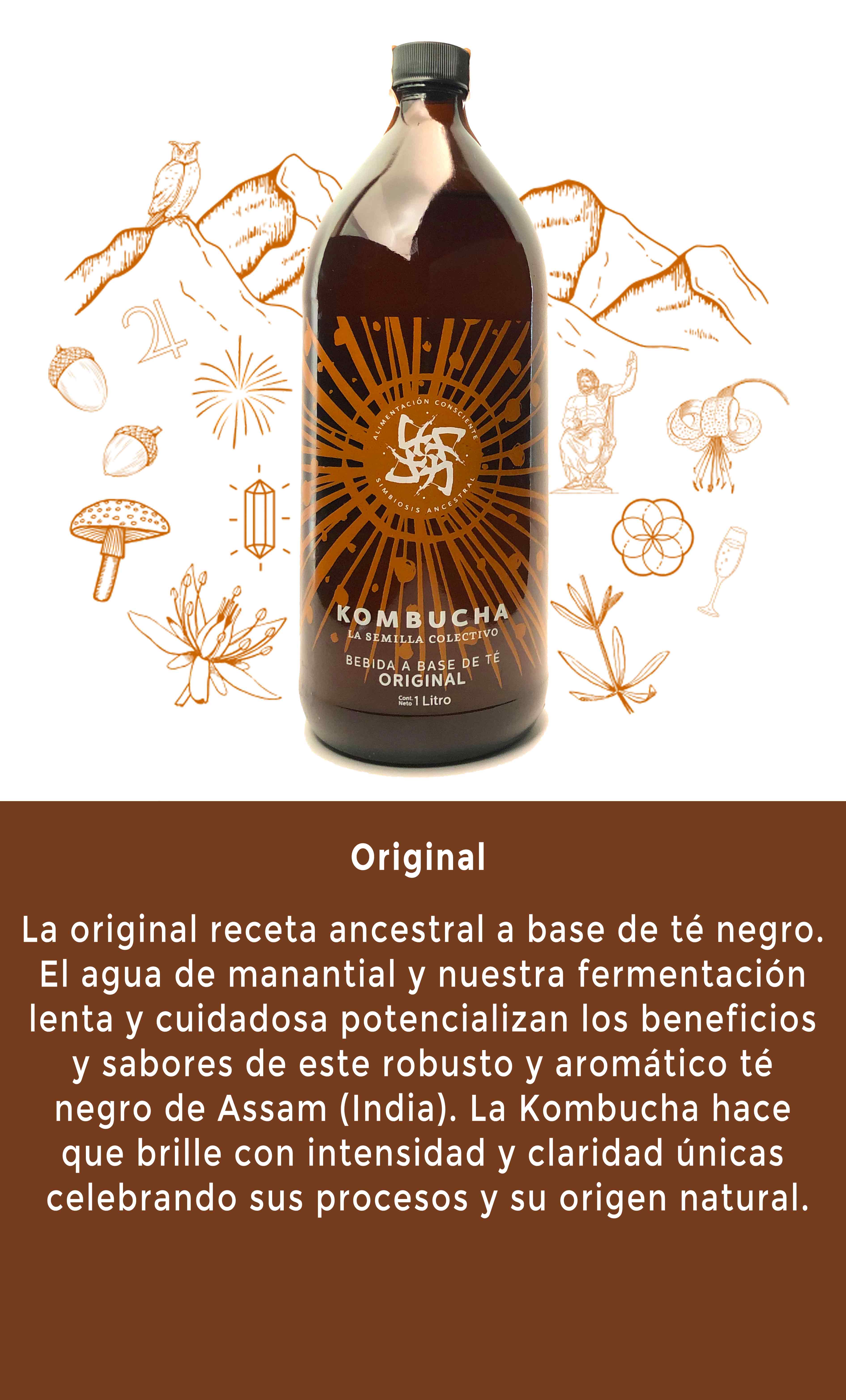 Kombucha sabor Original